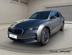 Octavia Combi Tour AHK Navi HUD 360° eHeck