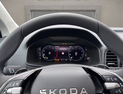 Karoq 1.5 TSI DSG Balance ACC AHK Navi eHeck