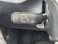 Kamiq 1.0 TSI DSG Tour Pano ACC Navi Matrix RFK