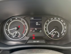 Fabia 1.0 MPI Active LED PDC SHZ Winterp. SpurH