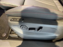 Kodiaq RS DCC AHK Leder Navi Pano