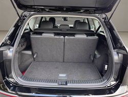 Tayron 1.5 eTSI W Life IQLight ACC AHK AUT Kam.