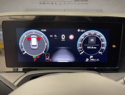 Passat Business 2.0 l TDI 7-Gang-DSG DCC IQLight