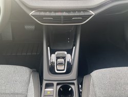 Octavia Combi Tour ACC AHK Navi eHeck