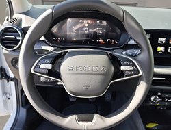 Fabia 1.0 TSI Tour ACC Kam. Navi DynLicht LED LM