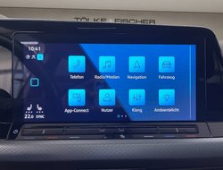 Golf VIII 2.0 TDI Active IQLight ACC AHK AUT HUD