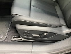 A5 2.0 e Avant quattro TFSI W S-line ACC AHK AUT