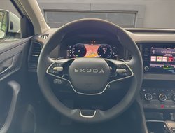 Karoq 1.5 TSI DSG Balance ACC AHK Navi eHeck