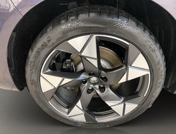 Terramar 2.0 TSI 4Drive VZ DCC ACC AUT Kam. LM