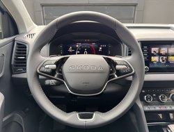Karoq 2.0 TDI DSG Balance ACC AHK Kam. Navi LED