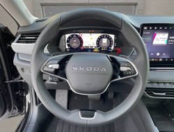 Octavia Combi Tour ACC AHK Navi 360° eHeck Matrix