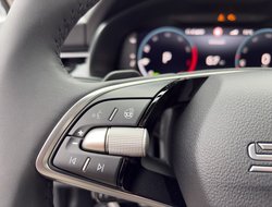 Kamiq 1.0 TSI DSG ACC Navi AHK Virtual LED