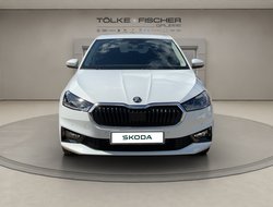 Fabia Tour Kamera SHZ Climatronic CarPlay