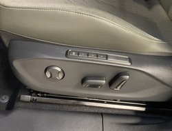 Terramar 1.5 ACC AHK AUT Kam. Sportp. Virtual