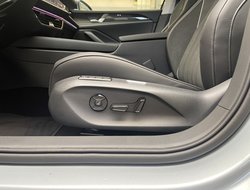 Passat 1.5 l eHybrid OPF 6-Gang-DSG AHK