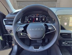 Kamiq Tour ACC AHK AUTO Navi Virtual LED