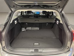 Focus Turnier 1.5 EcoBlue Titanium AHK AUT Navi