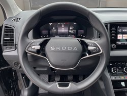 Karoq 1.0 TSI Selection AHK Navi PDC RFK SHZ