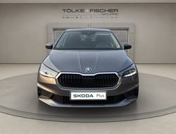 Fabia 1.0 MPI Active LED PDC SHZ Winterp. SpurH