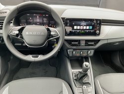 Kamiq 1,0 TSI Klima Virtual LED PDC SHZ SpurH