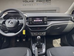 Fabia 1.0 MPI Active AHK LED PDC SHZ Winterp.
