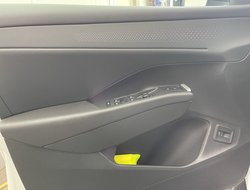 T-Roc R-Line 1.5 l eTSI OPF DSG R-Line IQLight