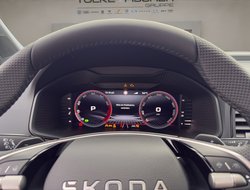 Karoq Sportline Pano Navi DCC AHK eHeck