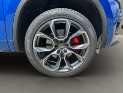 Kodiaq RS Navi DCC eHeck AHK Kamera