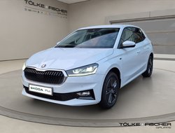 Fabia 1.0 TSI Tour ACC Kamera DynLicht LED LM