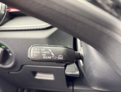 Fabia 1.0 TSI Monte Carlo ACC AUT Kam. Navi LED