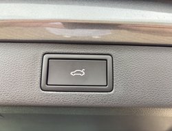 Kamiq 1.5 TSI Selection Pano ACC AHK AUT Navi LM