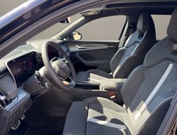 Kodiaq Sportline Navi Pano DCC AHK Standh.