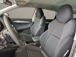 Karoq 1.5 TSI DSG Balance ACC AHK Navi eHeck