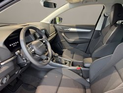 Karoq Balance DSG ACC AHK Navi eHeck LED