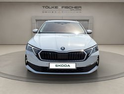 Octavia Combi DSG Tour ACC AHK Navi eHeck