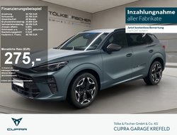 Terramar 2.0 TSI 4Drive Americas Cup Edition