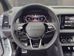 Karoq Sportline DCC Pano AHK Kamera eHeck