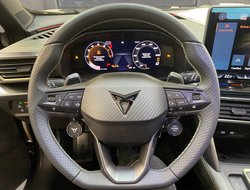 Formentor 2.0 TSI 4Drive VZ DCC ACC AUT Kam.