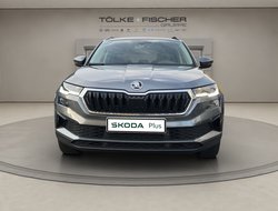 Karoq 2.0 TDI DSG AHK Navi Standh. Matrix ACC