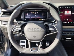 Octavia Combi 2.0 TSI DSG RS ACC AHK Navi 360