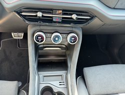 Kodiaq Sportline Navi Pano DCC AHK Standh.