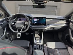 Octavia Combi 2.0 TSI DSG RS Pano AHK Navi SHZ