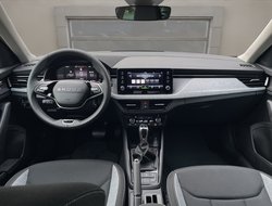 Kamiq 1.0 TSI DSG ACC AHK AUTO Virtual LED