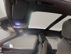 Terramar 1.5 VZ DCC ACC AHK AUT Kam. Pano LED