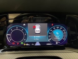 Golf VIII 2.0 TDI R-Line R-Line IQLight AUT Kam.