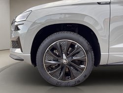 Karoq Sportline Pano Navi DCC AHK eHeck