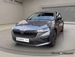 Scala DSG Balance ACC AHK Kamera LED