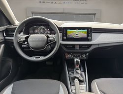 Scala DSG Balance ACC AHK Kamera LED