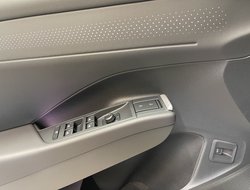 T-Roc Style 1.5 l eTSI OPF  DSG IQLight ACC AHK