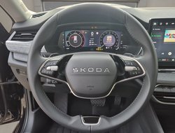 Octavia Combi 2.0 TDI DSG Tour ACC AHK Navi eHeck